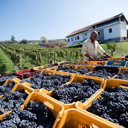 Tenuta Tralice-2